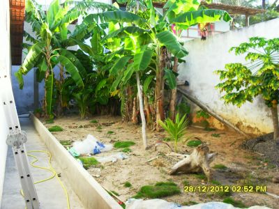 VENDO CASA MOBILIADA EM OLIVENÇA BA