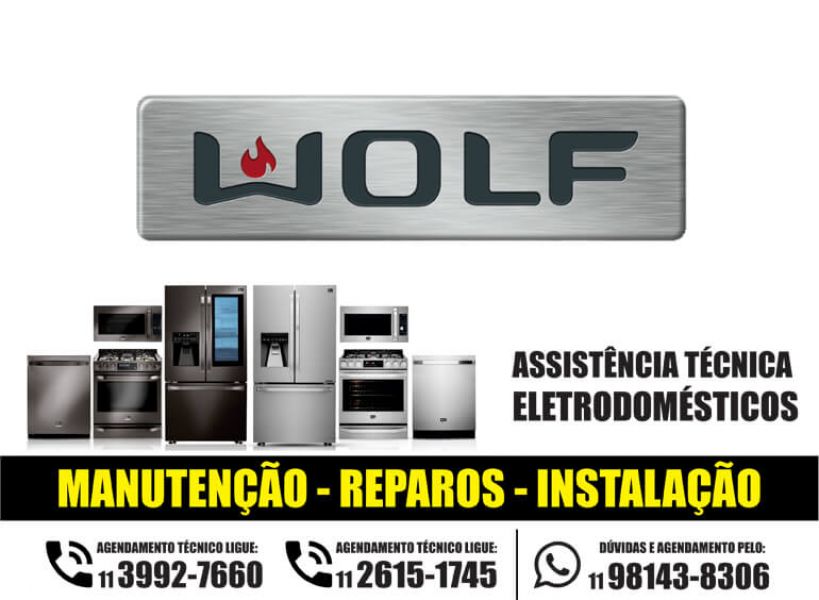 Consertos Wolf para lava e seca