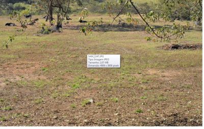 Vendo Área de 22 mil m2 na Estrada do Bonsucesso