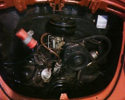 fusca