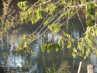 SÍTIO SANTA CRUZ DE GOIÁS GO 020 KM 105