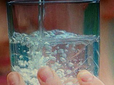 LIMPEZA DE CAIXA DÁGUA e DEDETIZADORA (11)2303-5217/ 7303-3441/ 8621-3420/6557-9589