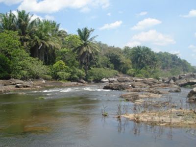 usina de álcool e açúcar a venda