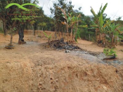 casa em uma área de 800 mt