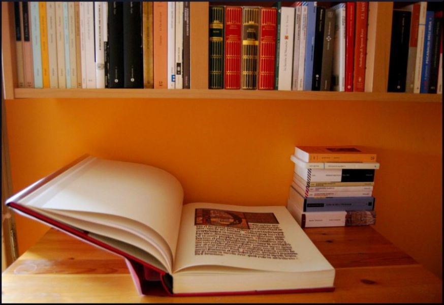 Monografia, artigo, trabalho de graduação, normas abnt