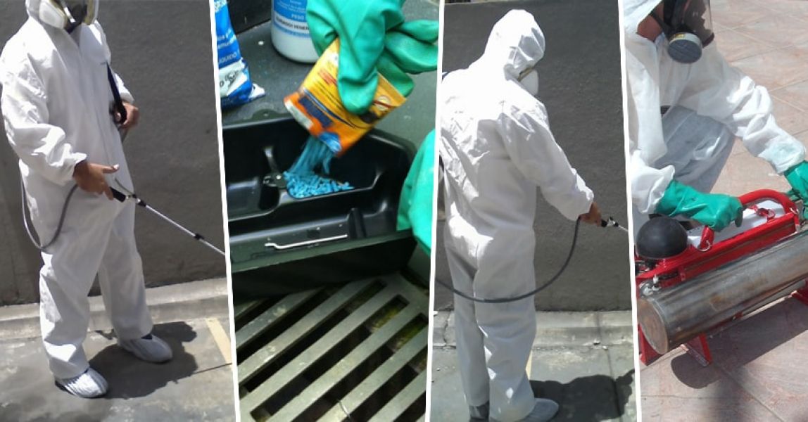 Controle corretivo de pragas em condomínios com eficácia
