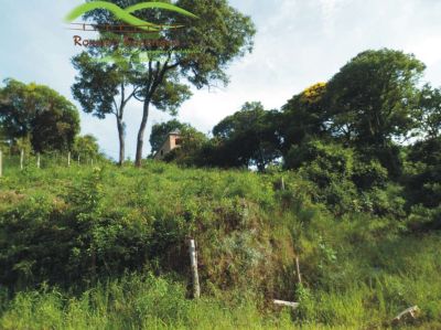 lote em novo horizonte