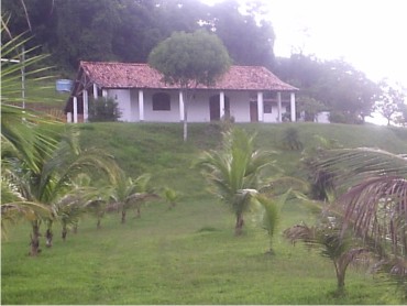 CACHOEIRAS DE MACACÚ SITIOS A VENDA CAETANO IMOVEIS