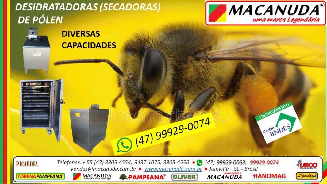 Estufa Para Desidratar Ervas Medicinais Macanuda