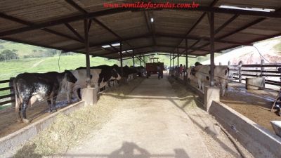 FAZENDA EM CLAUDIO 107 HA. LINDA ACEITA 50 % IMOVEIS