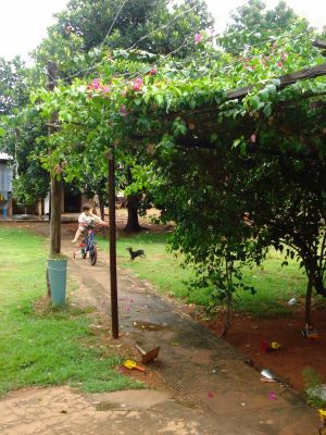 CHÁCARA  20 HA - R$ 280 MIL