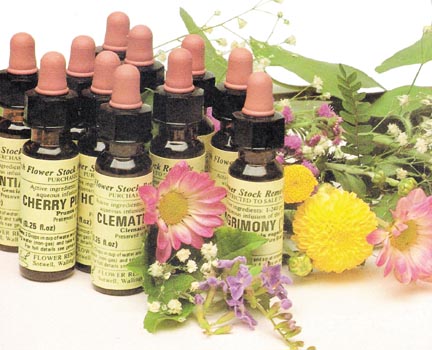 Terapia Holística em Taubaté