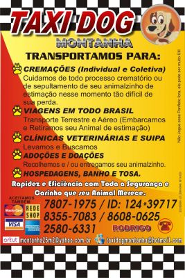 TAXI DOG MONTANHA TRANSPORTE DE ANIMAIS NO RIO DE JANEIRO