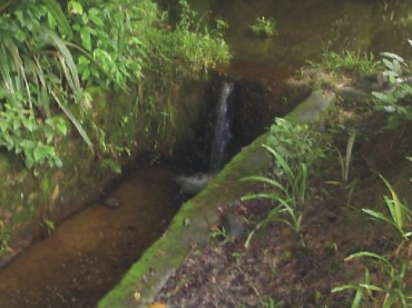 CACHOEIRAS DE MACACÚ SITIOS A VENDA CAETANO IMOVEIS