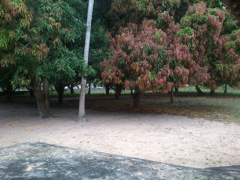 Excelente Terreno em São José de Mipibu - Cód. 398 SGI