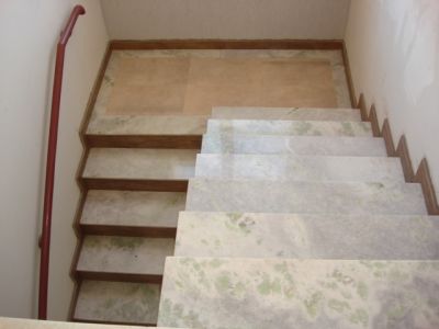 Casa 3 dormitórios - nova