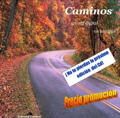 Professor de Lingua Espanhola