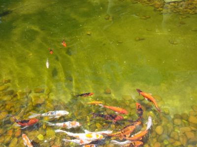 Apto Na Rua Carlos Weber, 757, Magna Vita, 175m², 3 Vagas. 