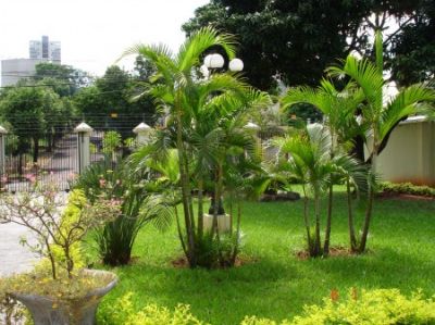 Vendo casa ótima localização