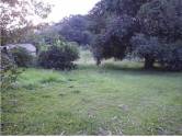 VENDE-SE LOTE DE TERRENO E SITIO EM SEROPEDICA-RJ