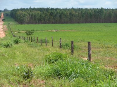 FAZENDA NO TOCANTINS. GRANDE FAZENDA NO TOCANTINS. 150 MIL HECTARES.