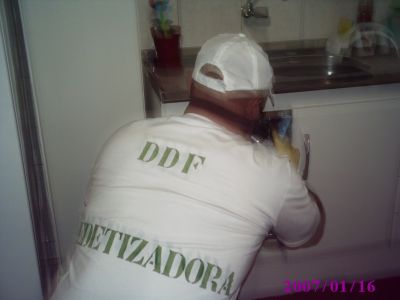 ddf dedetizadora controle de pragas urbanas.