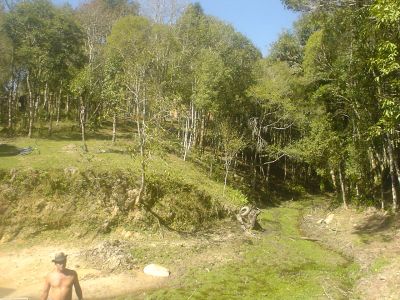 Terreno/chacara Região de Curitiba
