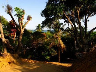Excelente terreno com vista para a Baia de Todos os Santos