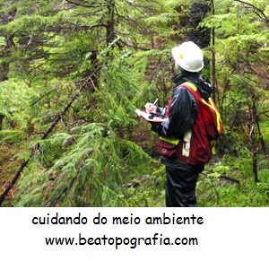 laudo de fauna e flora