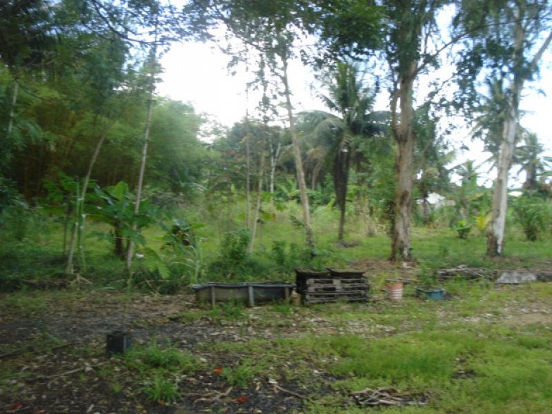 Área para seu projeto empresarial