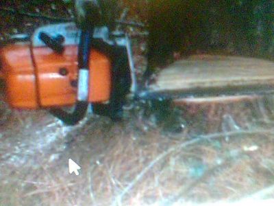 CORTE DE ÁRVORE E REMOÇÃO (011 ) 2303-5217/ 7303-3441 /6557-9589/8621-3420