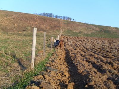 TERRENO COND.ENSEADA - VISTA REPRESA JOÃO PENIDO
