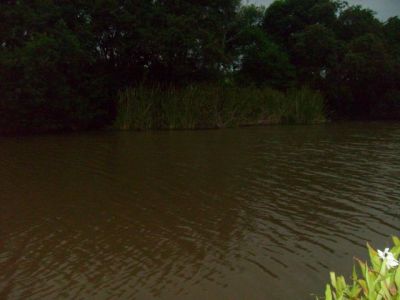 Belo sitio em Piedade