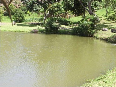 ITABORAI SITIOS A VENDA É NA CAETANO IMOVEIS COMPARE PREÇOS