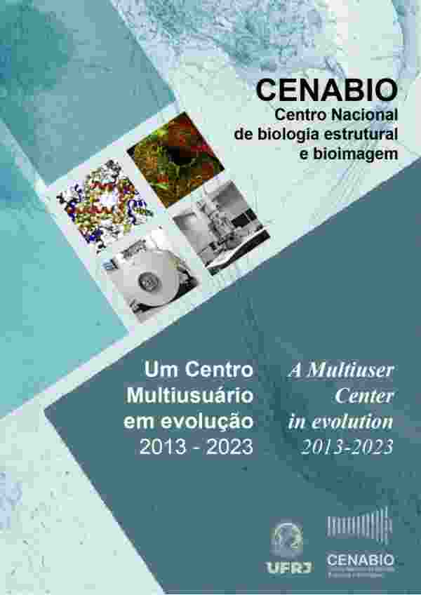 Wallace Vianna designer gráfico autônomo freelancer RJ