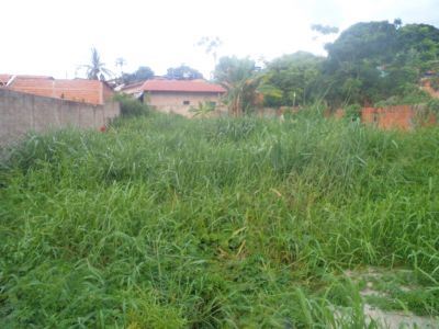 Lote na Alameda Barro Preto em Trindade-GO cod. 35