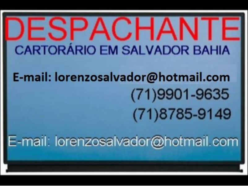 Despachante em Salvador Bahia