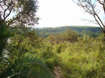 AREA RURAL EM BOFETE-SP