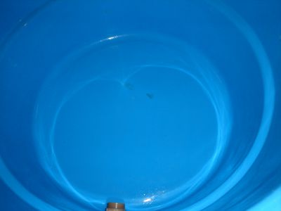 Limpe tua cx d'água e tenha saúde