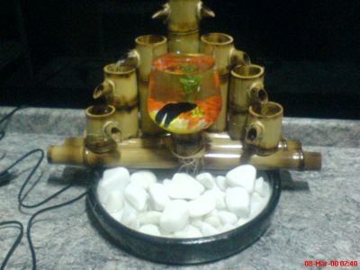 Fonte de Água em Bambú com pedras e mini aquario com beta