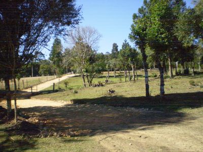 Terreno/chacara Região de Curitiba