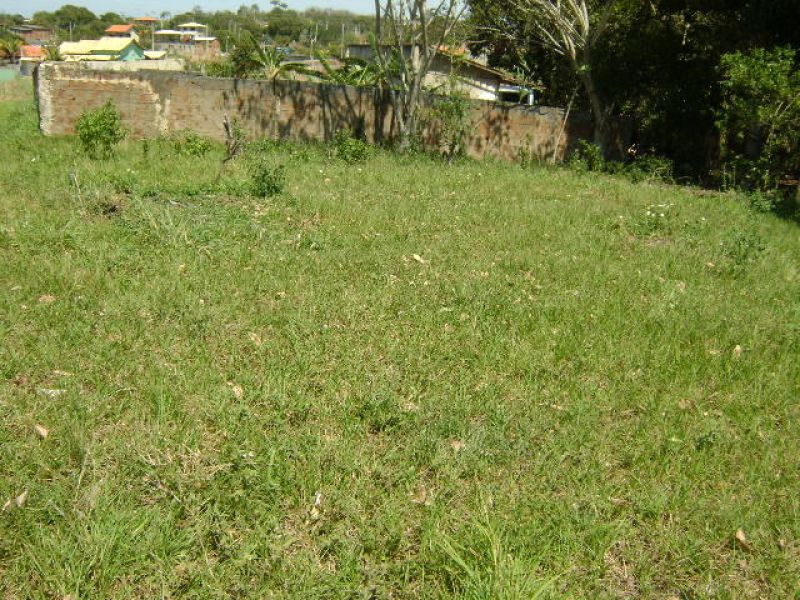 ARARUAMA –JAPÃO –TERRENO PLANO Á 100 M DO ASFALTO.