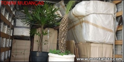 TRANSPORTADORA TONINI MUDANCAS E GUARDA-MÓVEIS