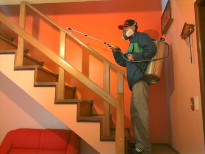 dedetizadora desentupidora porto alegre