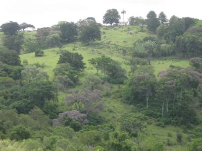 Condomínio: Outeiro das Flores 810m2 - Valor R$ 69.000,00, Avaliado em R$ 75.000,00