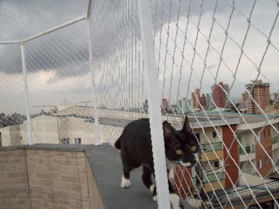 REDES DE PROTEÇÃO NA CHACARA FLORA TEL 11 3455-9884