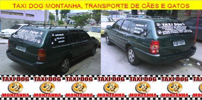 TAXI DOG MONTANHA TRANSPORTE DE ANIMAIS NO RIO DE JANEIRO