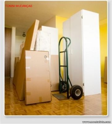TRANSPORTADORA TONINI MUDANCAS E GUARDA-MÓVEIS