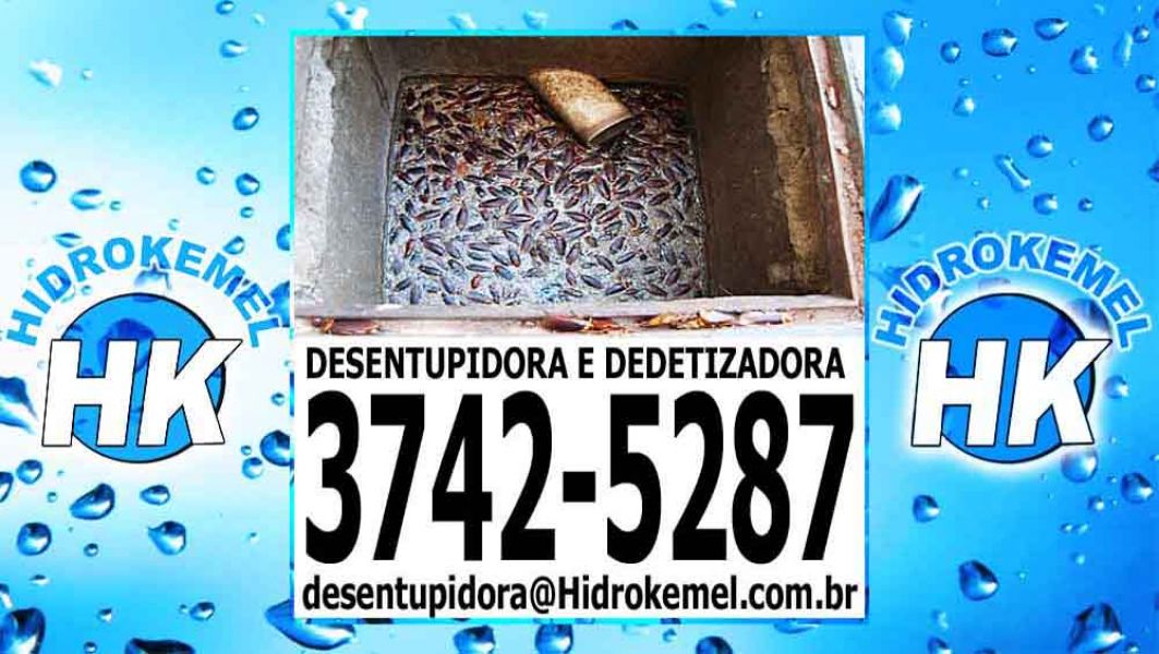 Desentupimento e Dedetização em Vila dos Remedios 3742-5287