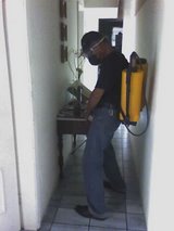 Dedetização e pinturas de casas